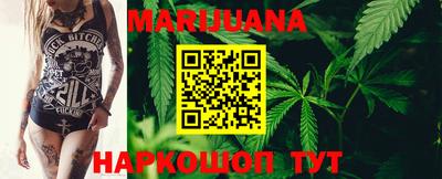 мдпв Гусев
