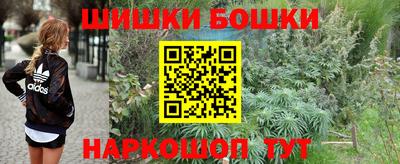 винт Сланцы