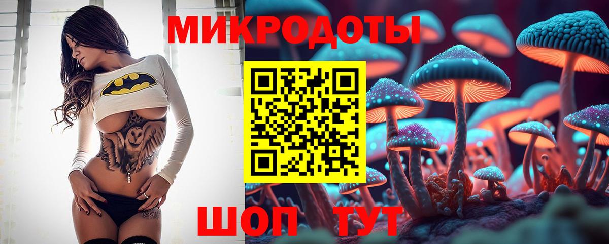 Галлюциногенные грибы Cubensis Орехово-Зуево