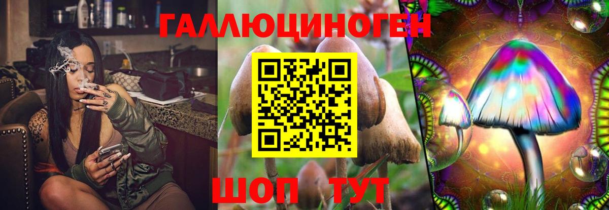 Псилоцибиновые грибы мицелий  Псилоцибиновые грибы Cubensis  Орехово-Зуево  Вход с VPN 