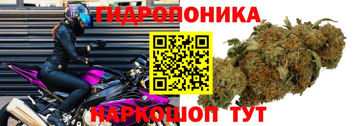 Бошки марихуана сатива Орехово-Зуево